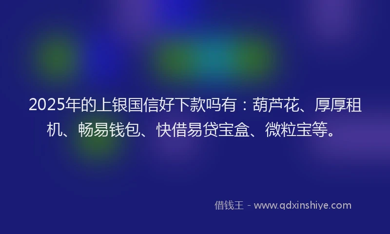 2025年的上银国信好下款吗有：葫芦花、厚厚租机、畅易钱包、快借易贷宝盒、微粒宝等。