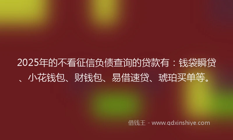 2025年的不看征信负债查询的贷款有：钱袋瞬贷、小花钱包、财钱包、易借速贷、琥珀买单等。