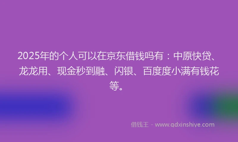 2025年的个人可以在京东借钱吗有：中原快贷、龙龙用、现金秒到融、闪银、百度度小满有钱花等。