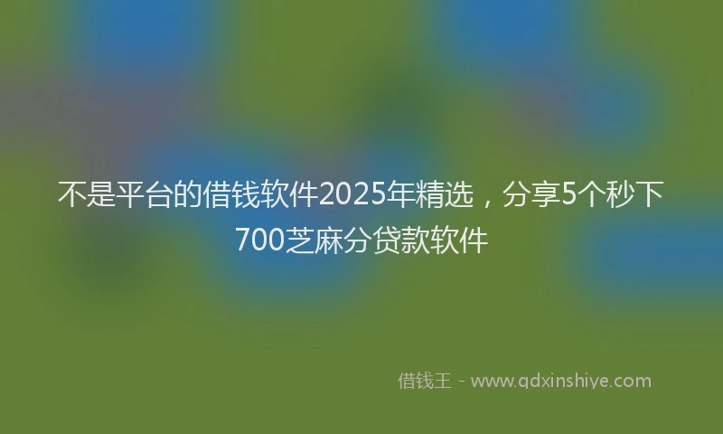 不是平台的借钱软件2025年精选，分享5个秒下700芝麻分贷款软件