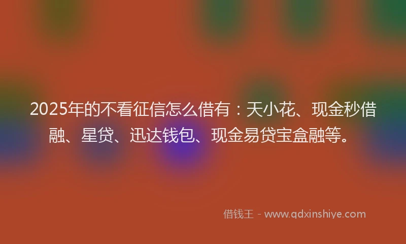 2025年的不看征信怎么借有：天小花、现金秒借融、星贷、迅达钱包、现金易贷宝盒融等。