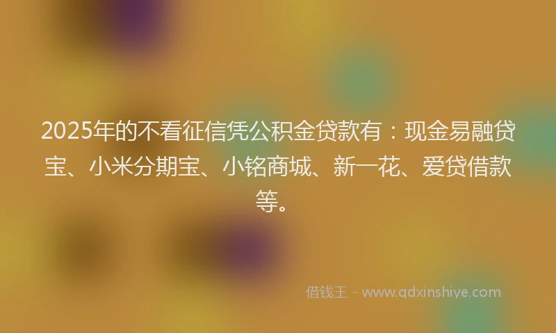 2025年的不看征信凭公积金贷款有：现金易融贷宝、小米分期宝、小铭商城、新一花、爱贷借款等。