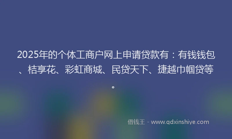 2025年的个体工商户网上申请贷款有：有钱钱包、桔享花、彩虹商城、民贷天下、捷越巾帼贷等。
