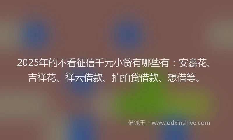 2025年的不看征信千元小贷有哪些有：安鑫花、吉祥花、祥云借款、拍拍贷借款、想借等。