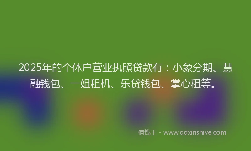 2025年的个体户营业执照贷款有：小象分期、慧融钱包、一姐租机、乐贷钱包、掌心租等。