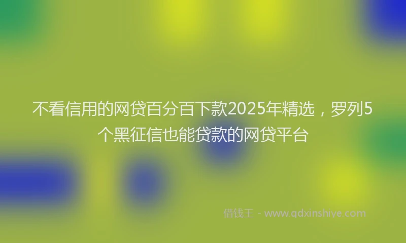 不看信用的网贷百分百下款2025年精选，罗列5个黑征信也能贷款的网贷平台
