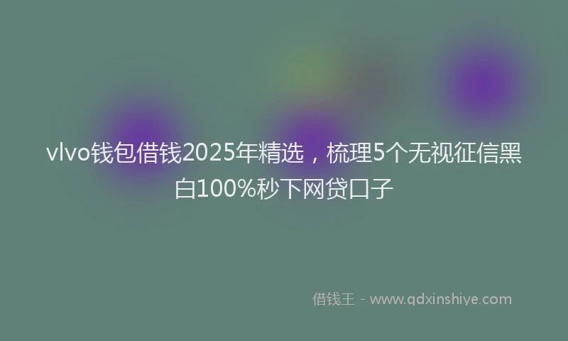 vlvo钱包借钱2025年精选，梳理5个无视征信黑白100%秒下网贷口子