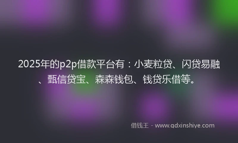 2025年的p2p借款平台有：小麦粒贷、闪贷易融、甄信贷宝、森森钱包、钱贷乐借等。