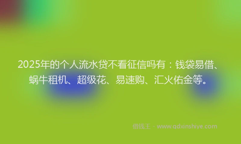 2025年的个人流水贷不看征信吗有：钱袋易借、蜗牛租机、超级花、易速购、汇火佑金等。
