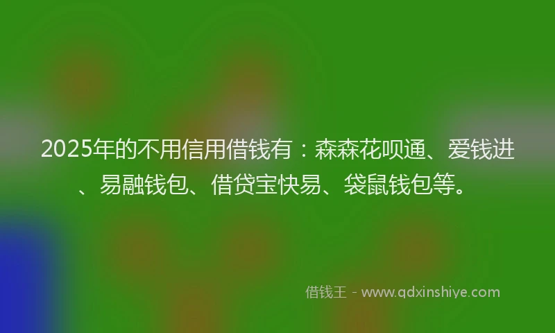 2025年的不用信用借钱有：森森花呗通、爱钱进、易融钱包、借贷宝快易、袋鼠钱包等。