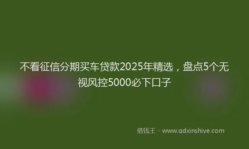不看征信分期买车贷款2025年精选，盘点5个无视风控5000必下口子