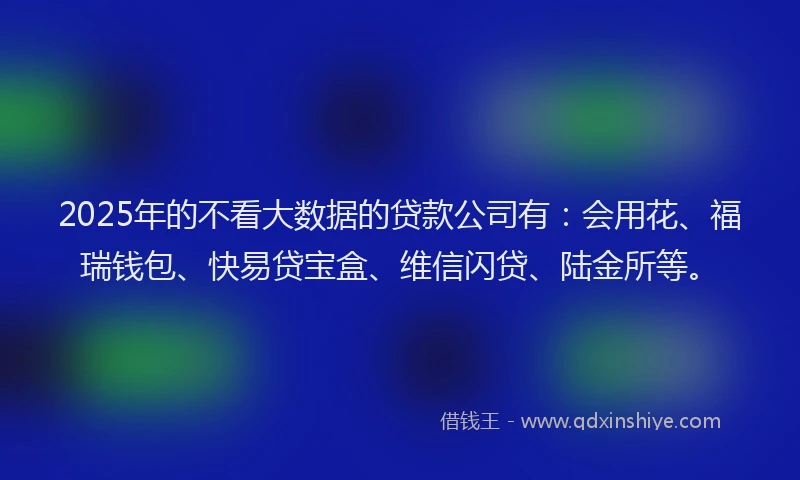 2025年的不看大数据的贷款公司有：会用花、福瑞钱包、快易贷宝盒、维信闪贷、陆金所等。