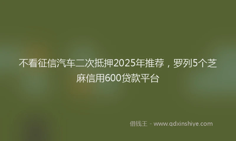 不看征信汽车二次抵押2025年推荐，罗列5个芝麻信用600贷款平台