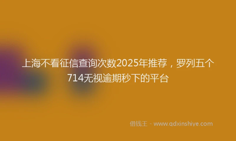 上海不看征信查询次数2025年推荐，罗列五个714无视逾期秒下的平台
