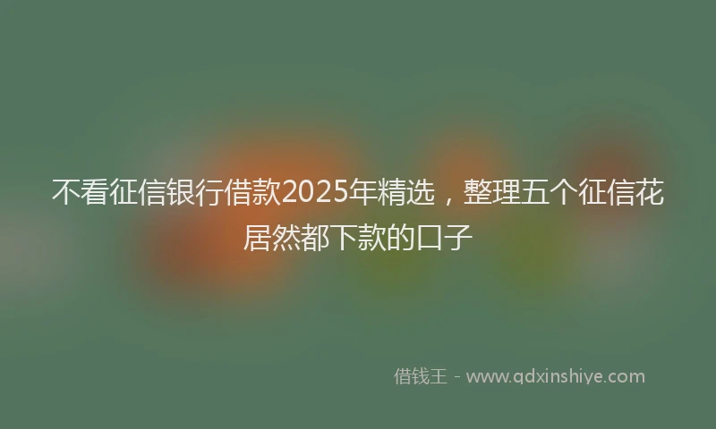 不看征信银行借款2025年精选，整理五个征信花居然都下款的口子