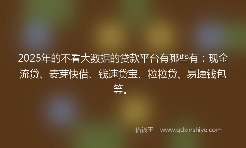 2025年的不看大数据的贷款平台有哪些有：现金流贷、麦芽快借、钱速贷宝、粒粒贷、易捷钱包等。