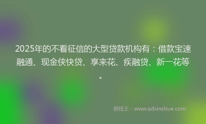 2025年的不看征信的大型贷款机构有：借款宝速融通、现金侠快贷、享来花、疾融贷、新一花等。