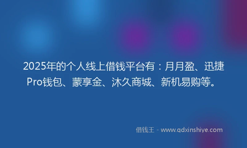 2025年的个人线上借钱平台有：月月盈、迅捷Pro钱包、蒙享金、沐久商城、新机易购等。