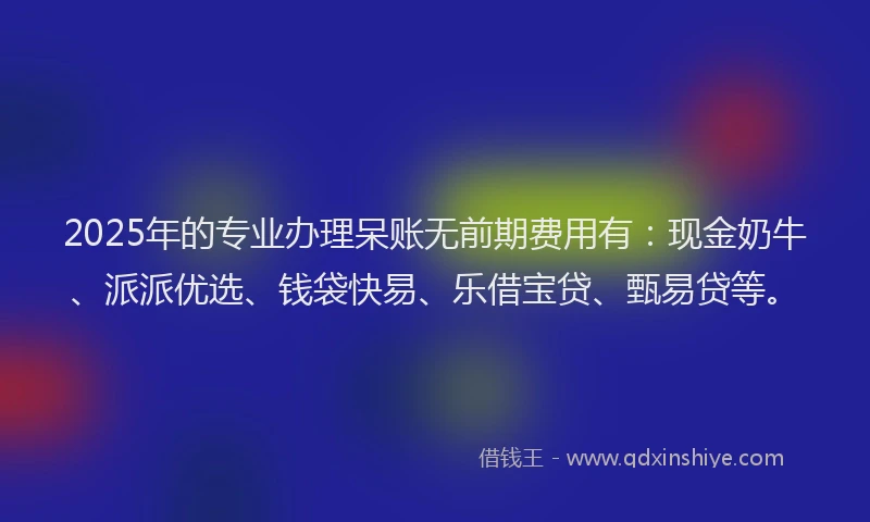 2025年的专业办理呆账无前期费用有：现金奶牛、派派优选、钱袋快易、乐借宝贷、甄易贷等。