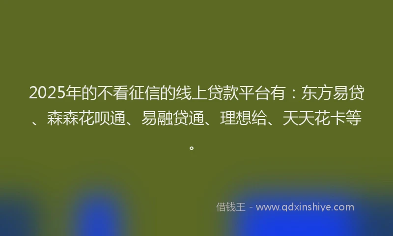 2025年的不看征信的线上贷款平台有：东方易贷、森森花呗通、易融贷通、理想给、天天花卡等。