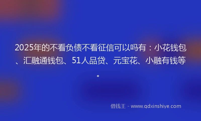 2025年的不看负债不看征信可以吗有：小花钱包、汇融通钱包、51人品贷、元宝花、小融有钱等。