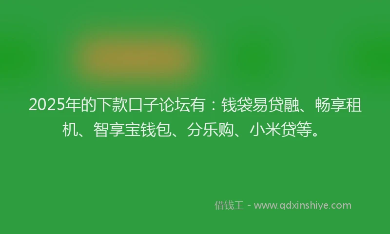 2025年的下款口子论坛有：钱袋易贷融、畅享租机、智享宝钱包、分乐购、小米贷等。