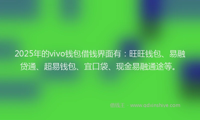 2025年的vivo钱包借钱界面有：旺旺钱包、易融贷通、超易钱包、宜口袋、现金易融通途等。