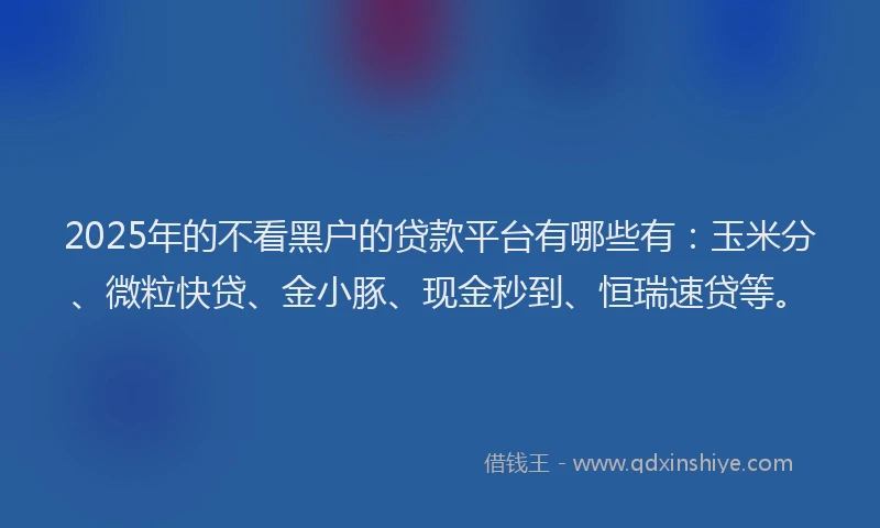 2025年的不看黑户的贷款平台有哪些有：玉米分、微粒快贷、金小豚、现金秒到、恒瑞速贷等。