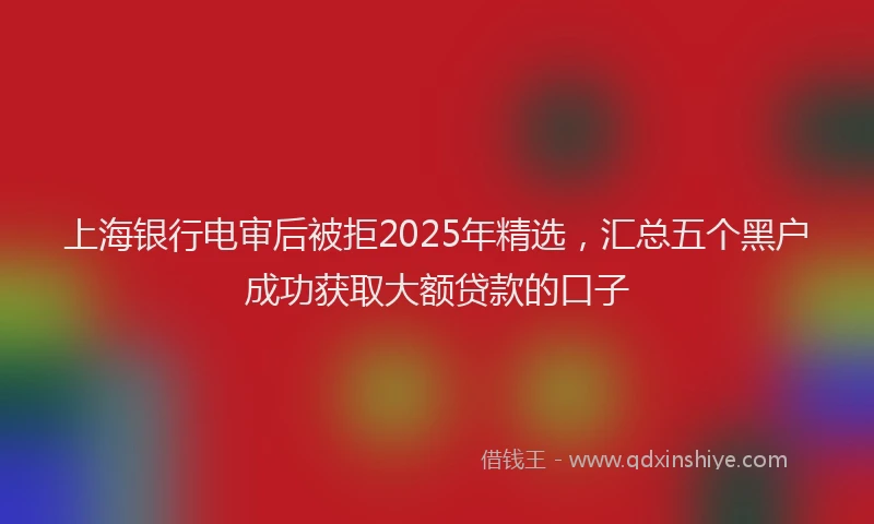 上海银行电审后被拒2025年精选，汇总五个黑户成功获取大额贷款的口子