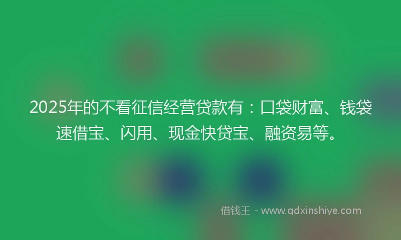 2025年的不看征信经营贷款有：口袋财富、钱袋速借宝、闪用、现金快贷宝、融资易等。
