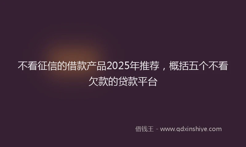 不看征信的借款产品2025年推荐，概括五个不看欠款的贷款平台