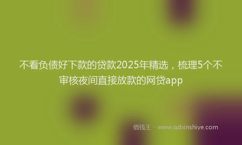 不看负债好下款的贷款2025年精选，梳理5个不审核夜间直接放款的网贷app