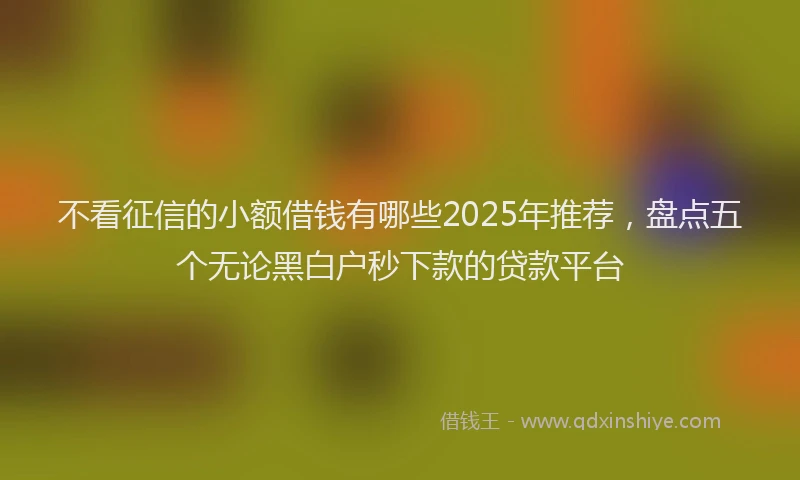 不看征信的小额借钱有哪些2025年推荐，盘点五个无论黑白户秒下款的贷款平台