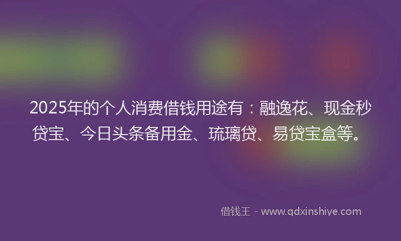 2025年的个人消费借钱用途有：融逸花、现金秒贷宝、今日头条备用金、琉璃贷、易贷宝盒等。