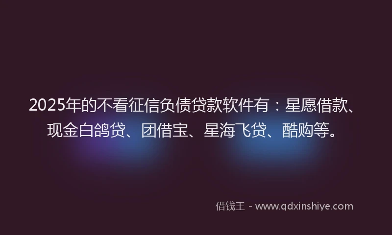 2025年的不看征信负债贷款软件有：星愿借款、现金白鸽贷、团借宝、星海飞贷、酷购等。