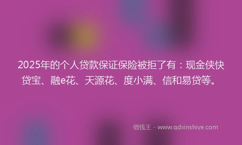 2025年的个人贷款保证保险被拒了有：现金侠快贷宝、融e花、天源花、度小满、信和易贷等。