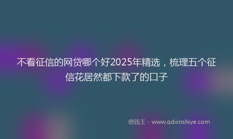 不看征信的网贷哪个好2025年精选，梳理五个征信花居然都下款了的口子