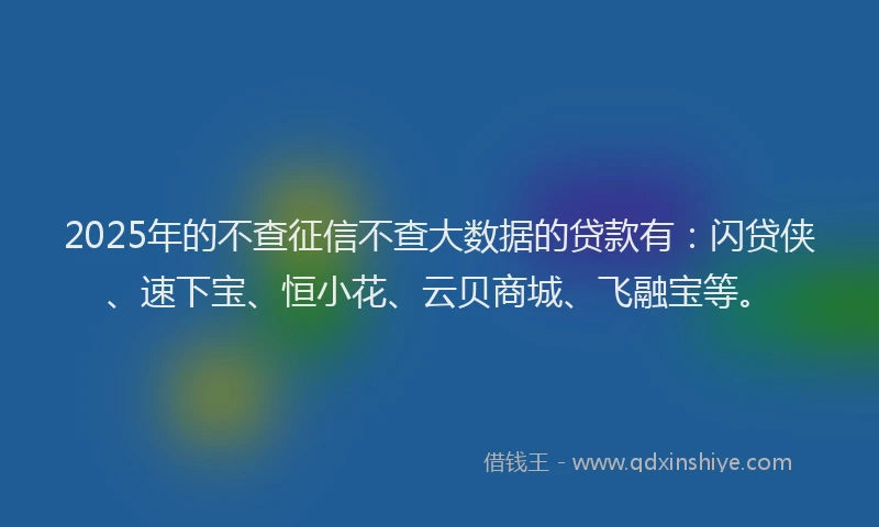 2025年的不查征信不查大数据的贷款有：闪贷侠、速下宝、恒小花、云贝商城、飞融宝等。