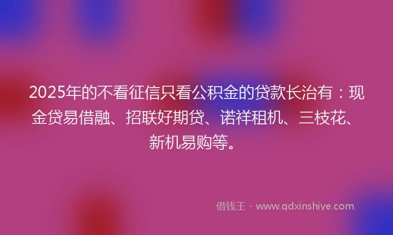 2025年的不看征信只看公积金的贷款长治有：现金贷易借融、招联好期贷、诺祥租机、三枝花、新机易购等。