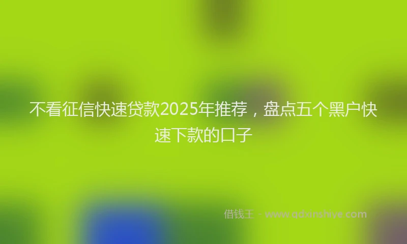 不看征信快速贷款2025年推荐，盘点五个黑户快速下款的口子