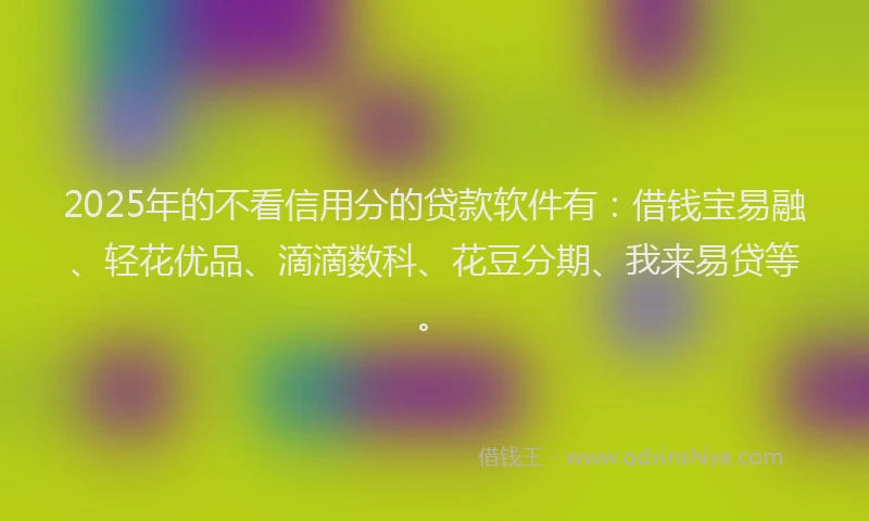 2025年的不看信用分的贷款软件有：借钱宝易融、轻花优品、滴滴数科、花豆分期、我来易贷等。