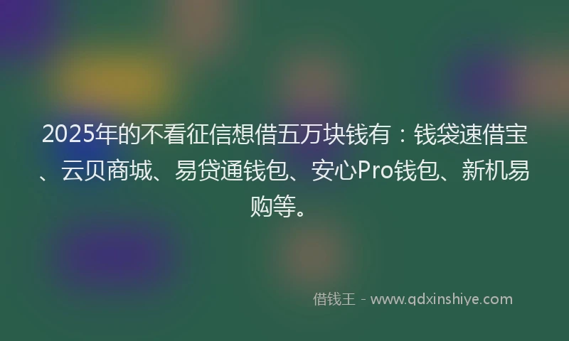 2025年的不看征信想借五万块钱有：钱袋速借宝、云贝商城、易贷通钱包、安心Pro钱包、新机易购等。