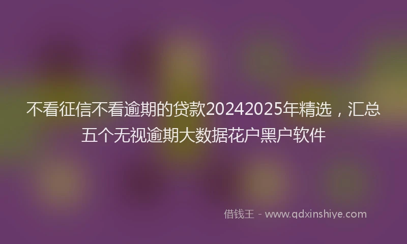 不看征信不看逾期的贷款20242025年精选，汇总五个无视逾期大数据花户黑户软件