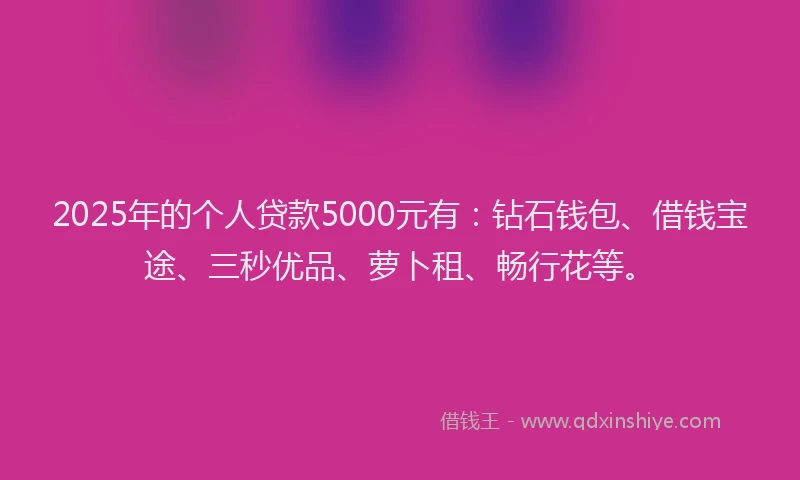 2025年的个人贷款5000元有：钻石钱包、借钱宝途、三秒优品、萝卜租、畅行花等。