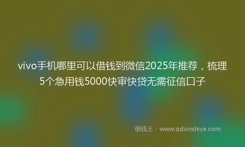 vivo手机哪里可以借钱到微信2025年推荐，梳理5个急用钱5000快审快贷无需征信口子