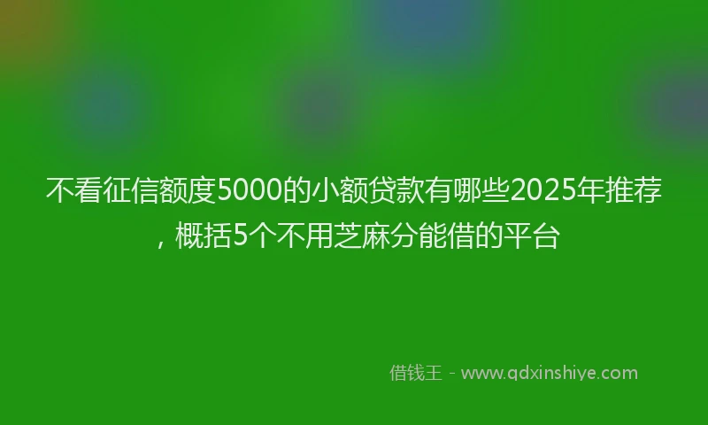 不看征信额度5000的小额贷款有哪些2025年推荐，概括5个不用芝麻分能借的平台