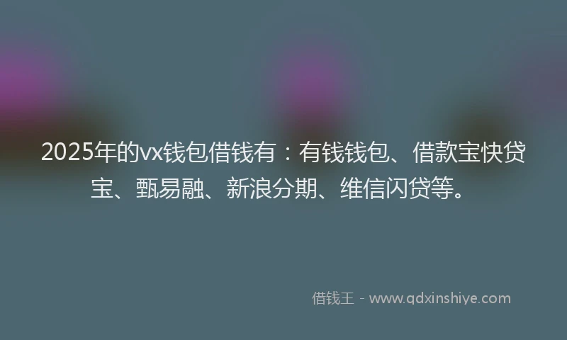 2025年的vx钱包借钱有:有钱钱包、借款宝快贷宝、甄易融、新浪分期、维信闪贷等。