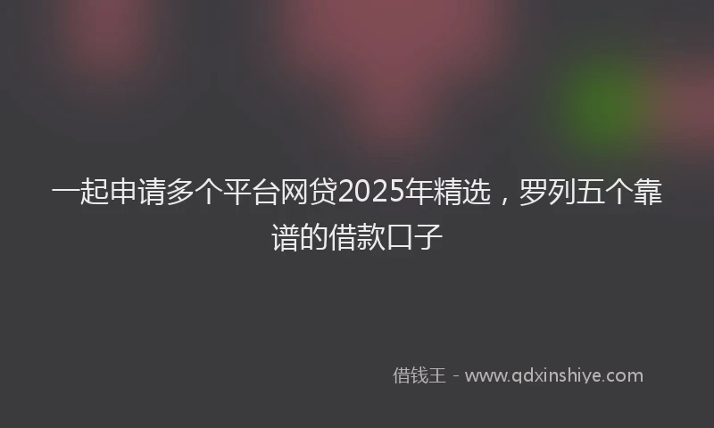 一起申请多个平台网贷2025年精选，罗列五个靠谱的借款口子