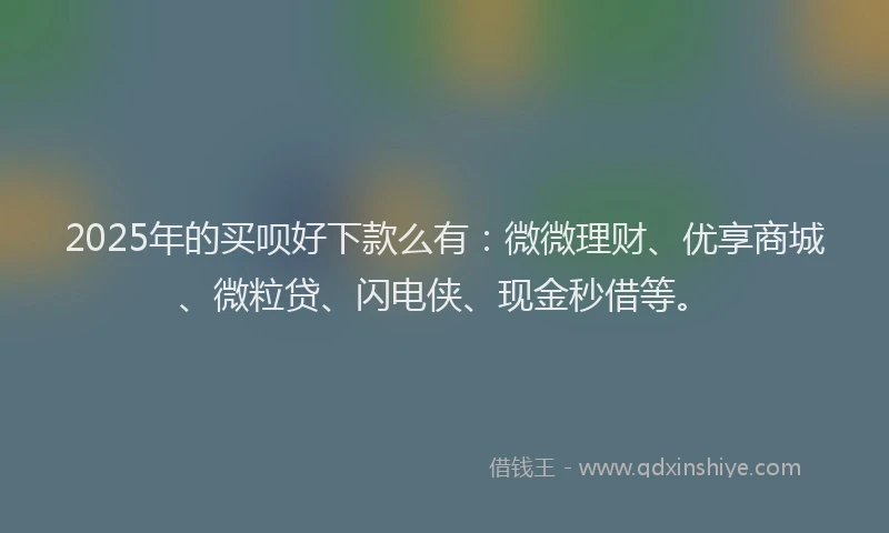 2025年的买呗好下款么有：微微理财、优享商城、微粒贷、闪电侠、现金秒借等。