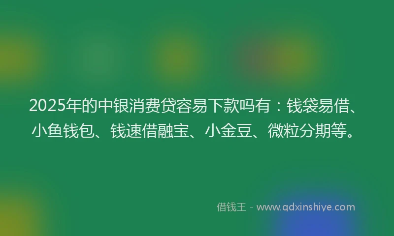 2025年的中银消费贷容易下款吗有：钱袋易借、小鱼钱包、钱速借融宝、小金豆、微粒分期等。